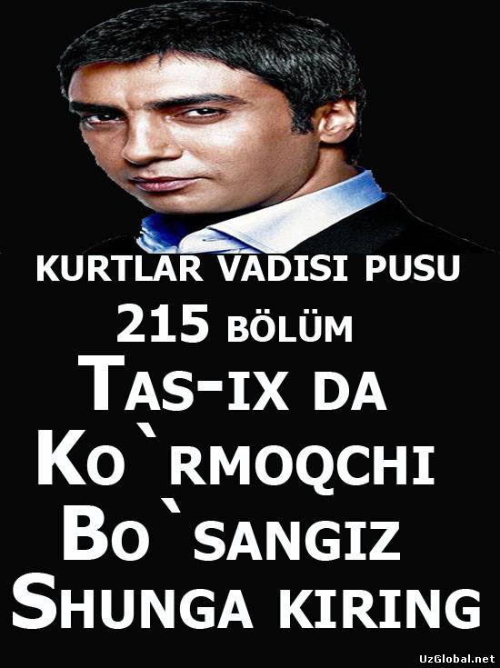 Kurtlar Vadisi Pusu 215 Bolum tas-ix