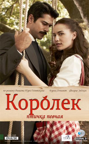 Королек - птичка певчая / Çalıkuşu /Серии 1-1 tas-ix da