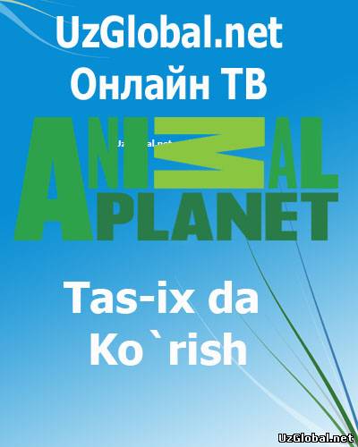 Онлайн ТВ tas-ix Канал Animal Planet  онлайн